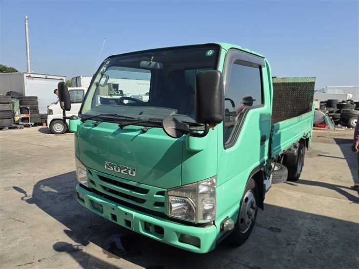 Isuzu Elf Truck