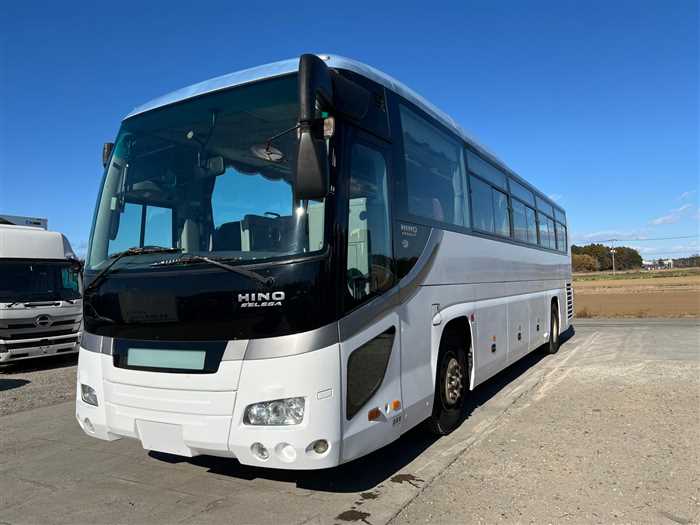 Hino S'elega