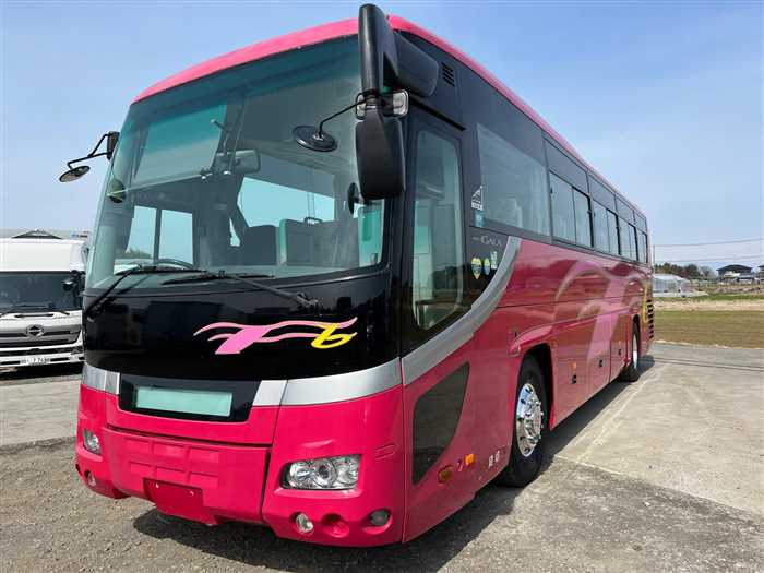 Isuzu Isuzu Others GALA