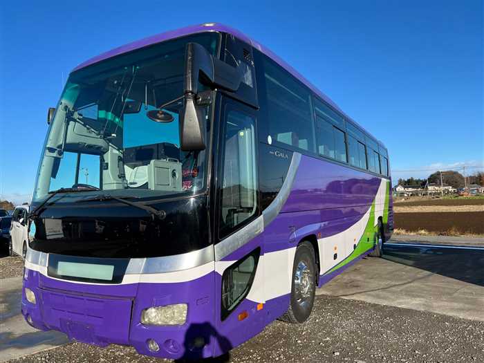 Isuzu Isuzu Others GALA